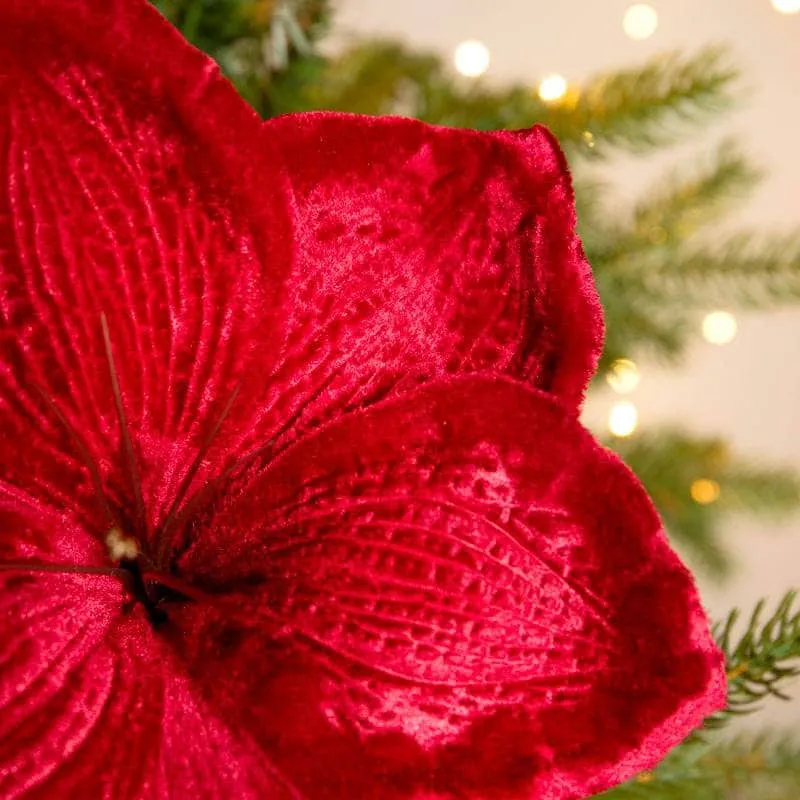 Red Velvet Amaryllis Clip Decoration - 14cm