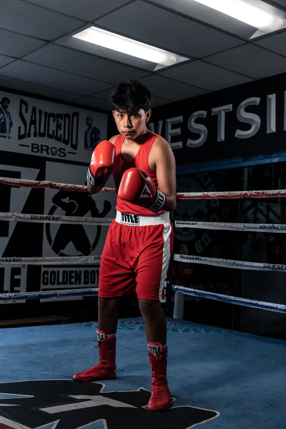 TITLE Boxing Aerovent Elite Amateur Set - Original
